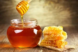 تصویر 2 از قیمت خرید عسل کوهی وحشی + فروش ویژه
